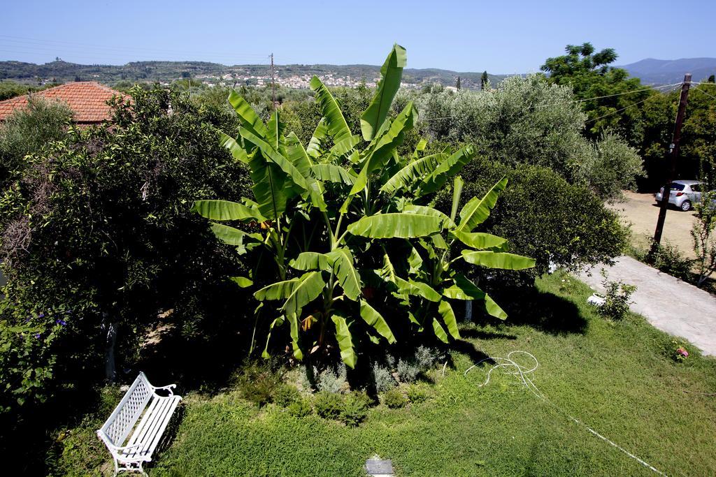 Aggelos Hotel Agios Andreas  外观 照片